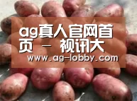产品展示标题5(图1)