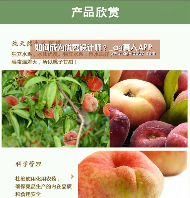ag真人APP