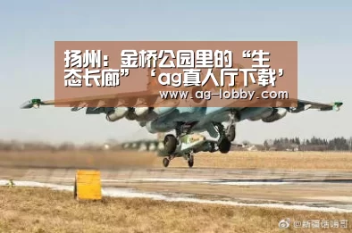 ag真人下载