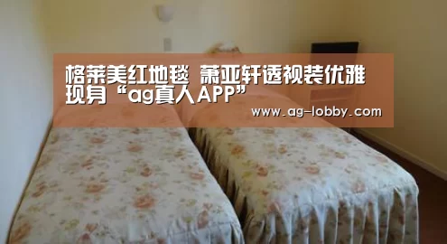 ag真人视讯
