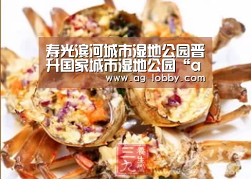 寿光滨河城市湿地公园晋升国家城市湿地公园“ag真人视讯”(图3) ag真人下载
