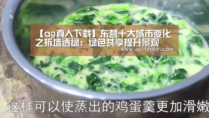 ag真人下载